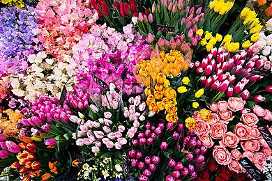 《真女神转生5》恶魔介绍：希腊神话魔兽奇美拉